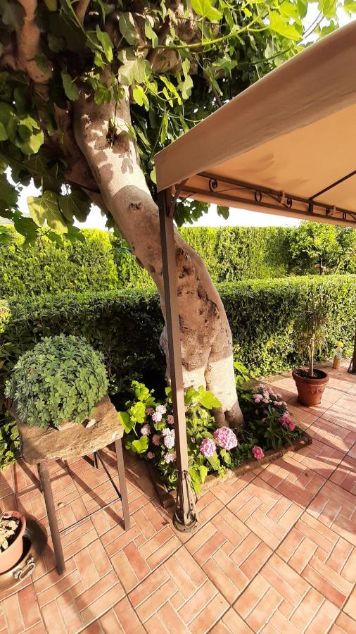 Casale Battaglini Bed and Breakfast Castelnuovo Cilento Exteriör bild