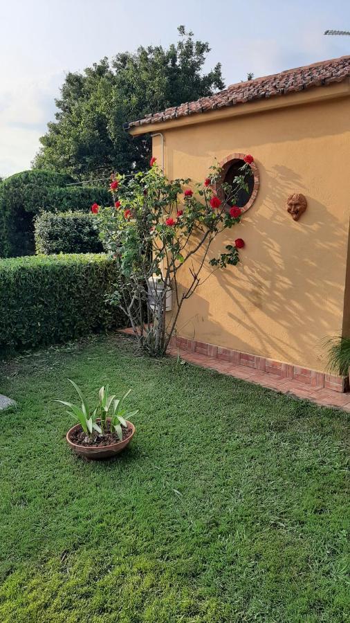 Casale Battaglini Bed and Breakfast Castelnuovo Cilento Exteriör bild